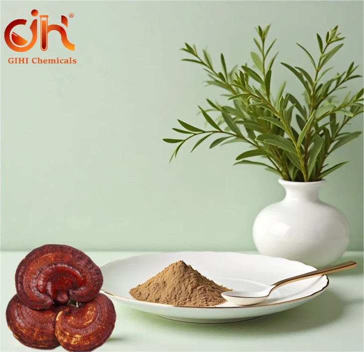 Reishi Mushroom Extract 